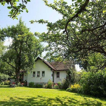 Ferienhaus Am Alten Bahndamm Waldsassen Kültér fotó